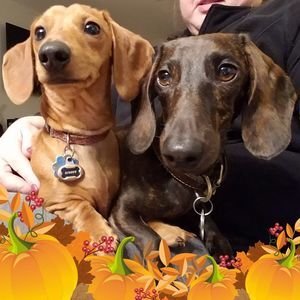 Meet your Posher, Farrah